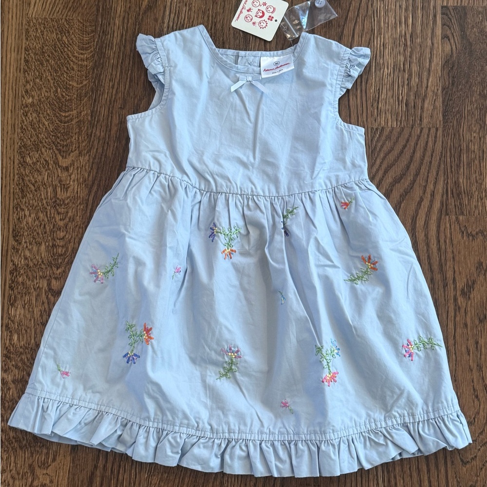 Floral Embroidered Light Blue Ruffle Dress Hanna Andersson New With Tags
